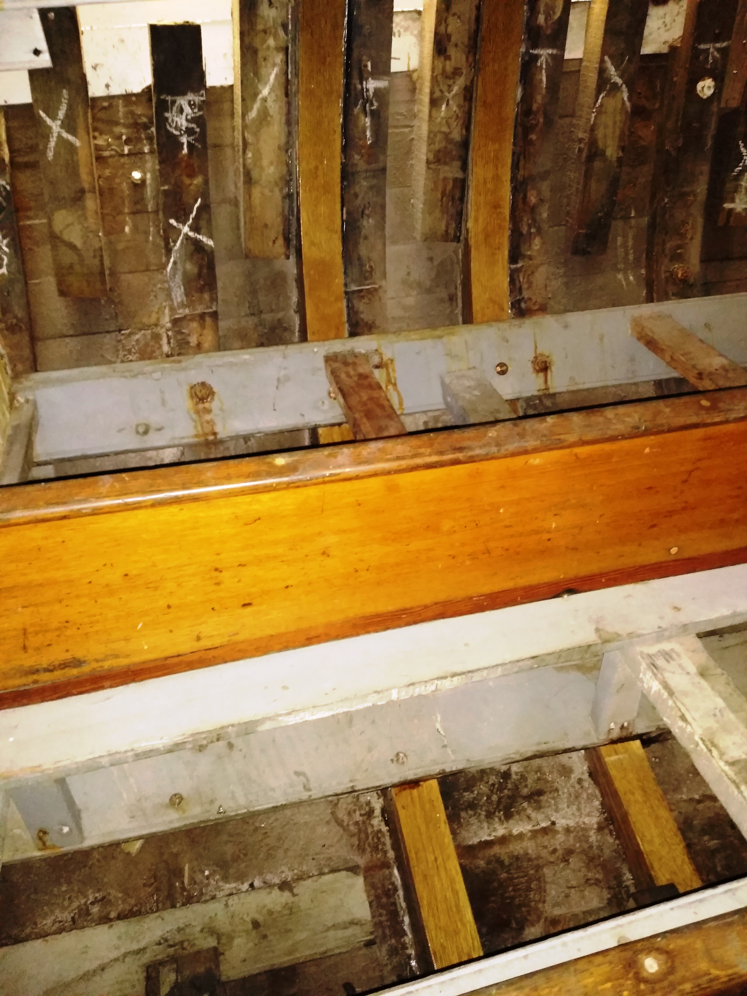 Interior view of Yankee's hull showing oak frames and planking