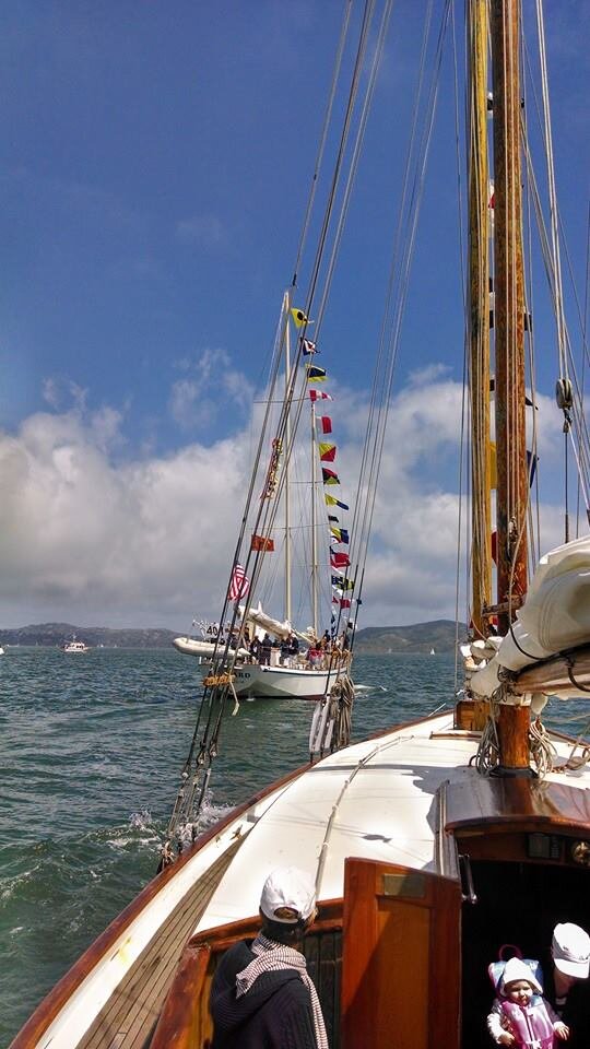 Yankee dressed overall with signal flags for Opening Day, 2014