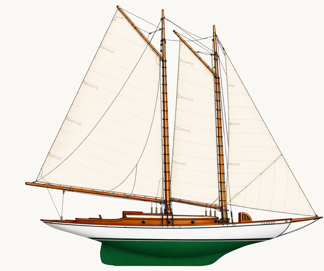 Yankee illustration
